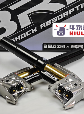 比博士BRR-H201黑色金管倒置前减震46芯 适用极核AE4/5 九号小牛