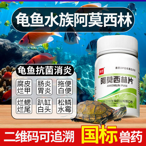 阿莫西林乌龟用水族鱼用烂尾厌食