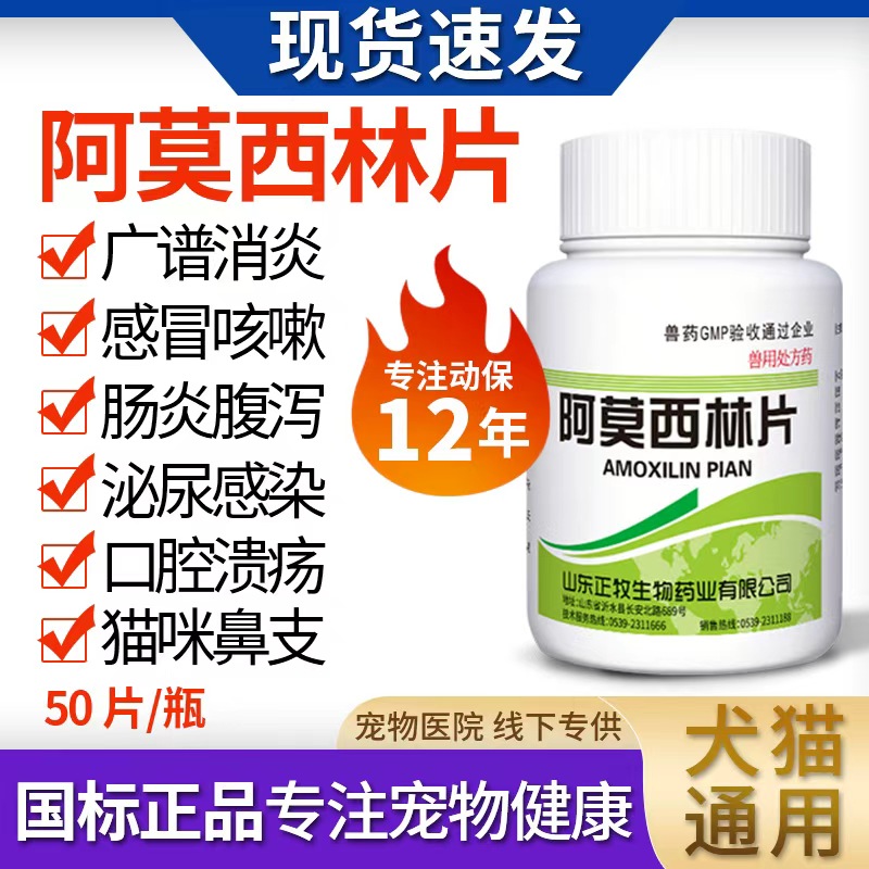 猫大哥阿莫西林感冒咳嗽鼻支消炎