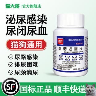 宠物用恩诺沙星片狗狗猫咪尿路感染尿道炎流脓尿血利尿通子宫蓄脓