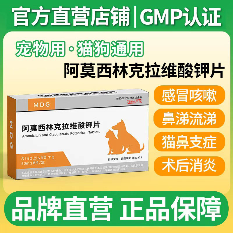 阿莫西林克拉维酸钾宠物猫用狗狗专用消炎药肠胃炎咳嗽感冒药鼻涕