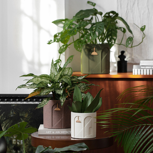 水泥花盆简约创意个性 绿植盆栽绿萝多肉中古风创意花盆侘寂风花盆