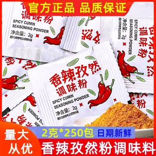 250包家用便携烧烤调料炸鸡粉辣椒粉撒料商用调味料 香辣孜然粉2g