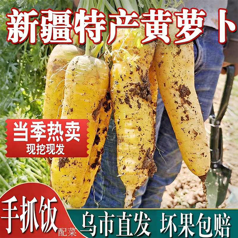 新疆黄心胡萝卜新鲜蔬菜农家自种带泥黄胡萝卜抓饭专用产地直发
