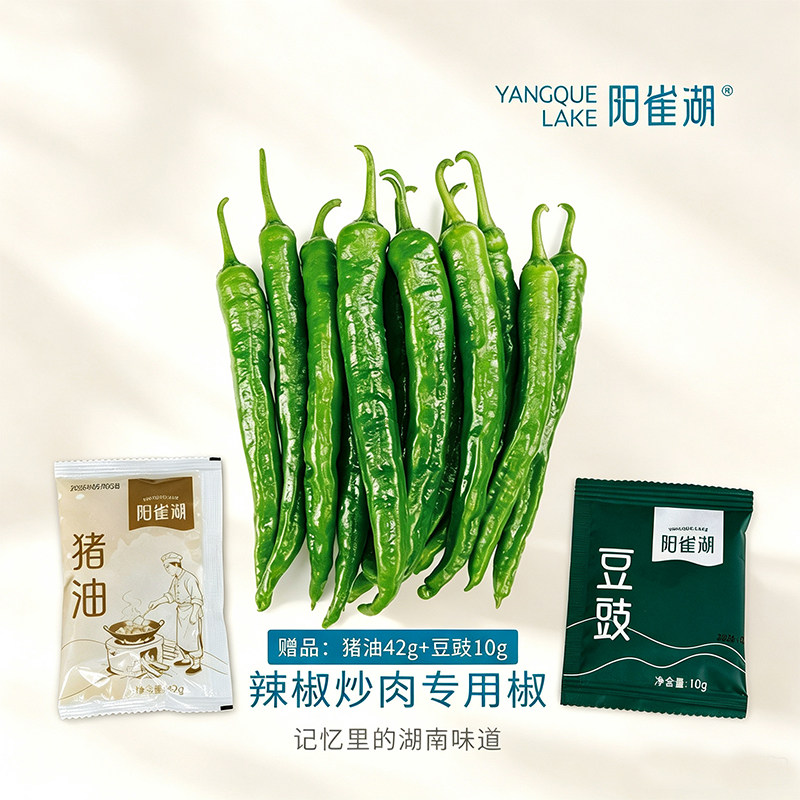湖南辣椒新鲜蔬菜湘菜青辣椒