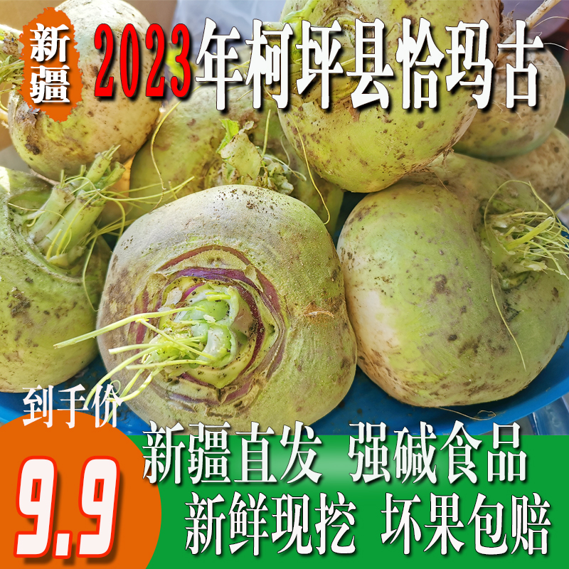 恰玛古新疆柯坪县新鲜蔬菜恰玛古强碱性食品调节酸碱平衡5斤包邮 水产肉类/新鲜蔬果/熟食 其它 原图主图