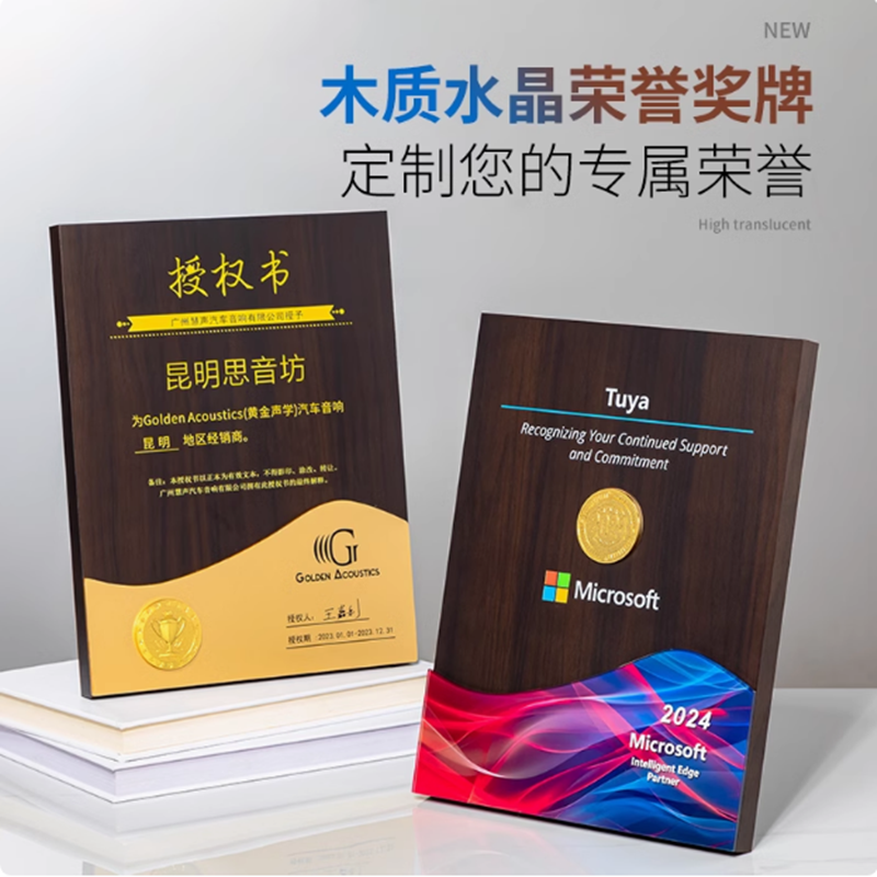 新款荣誉证书定制战略合作伙伴商会会长团队颁奖捐赠奖牌嘉奖订制