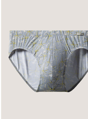 SCHIESSER舒雅男士锦纶冰丝凉感透气印花大码中腰三角内裤22760S