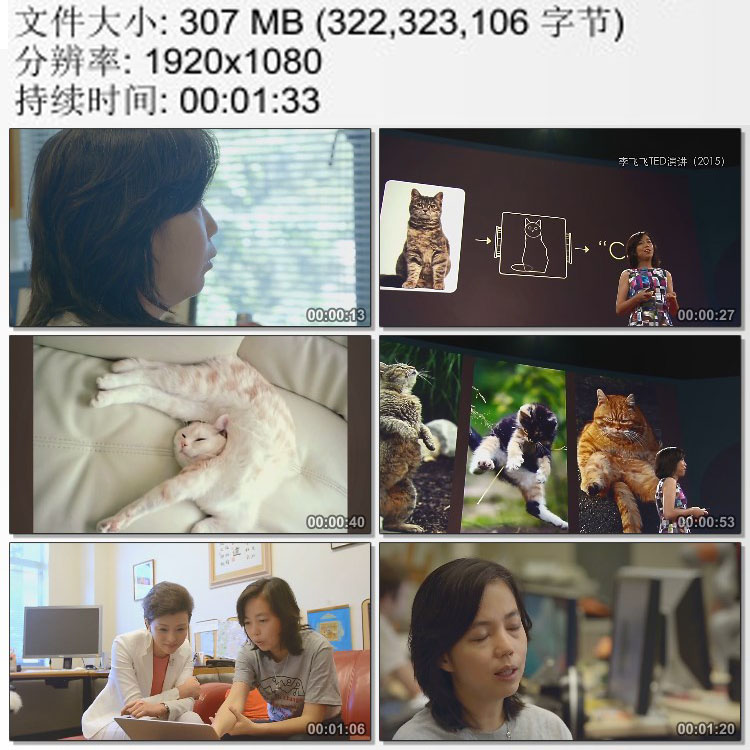 美国斯坦福大学人工智能实验室人工智能专家李飞飞 高清视频素材