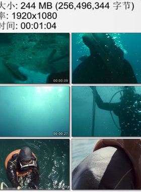渔民穿潜水衣潜入海底视频 捞拾珍珠贝壳满载而归 实拍视频素材