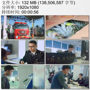 广州南沙口岸 水果滞留 报关大厅 鲜急特服务窗口 实拍视频素材