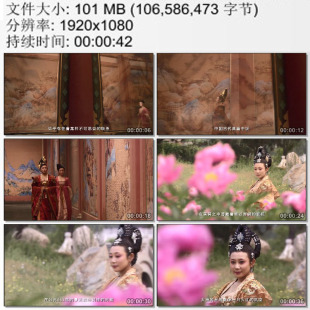 大明宫丹凤门的命名与武媚娘联系 武皇后与丫鬟行走 高清视频素材