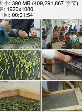 安徽名茶 太平猴魁 采茶归来 茶叶加工车间 制茶工 高清视频素材