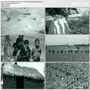 60 70年代旱灾干旱干枯 干涸水资源短缺紧张枯萎自然灾害视频素材