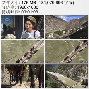 马帮长队离开村庄开始马帮征程 马帮队列 茶马古道 实拍视频素材