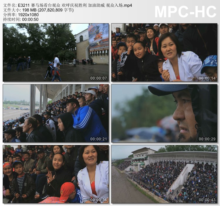 赛马场看台观众欢呼庆祝胜利加油助威实拍 观众入场 实拍视频素材