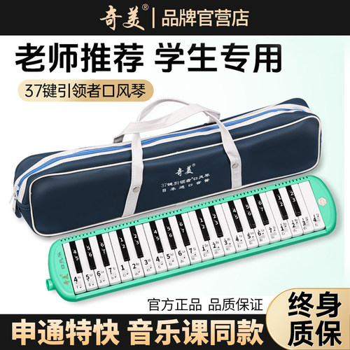 奇美引领者口风琴37键32键小学生专用课堂乐器儿童初学者演奏口吹