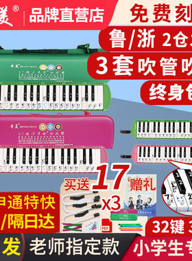 奇美小才女天才口风琴37键小学生专用课堂乐器儿童初学者演奏口吹