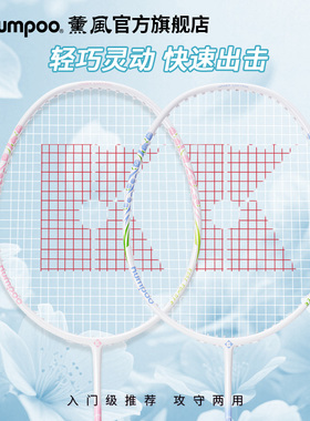 薰风旗舰店羽毛球拍女RS羽毛球双拍熏风k520pro碳素纤维超轻单拍