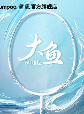 薰风旗舰店2025入门5U羽毛球拍碳素纤维超轻拍羽拍熏风大鱼DS-203