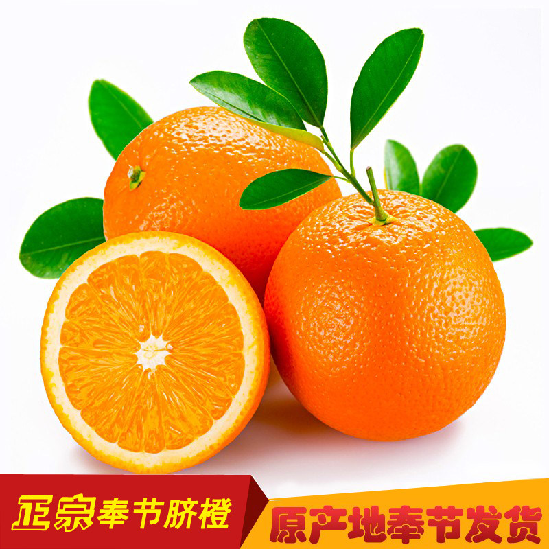 正宗奉节脐橙橙子福本纽荷尔现摘现发新鲜采摘当季水果多汁皮薄