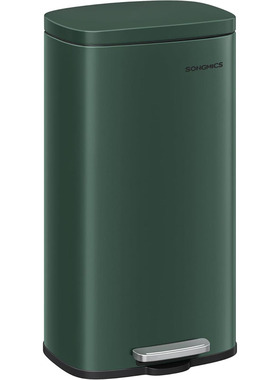 100%德国代购进口SONGMICS优质防锈不锈钢防臭盖脚踏式垃圾桶30L