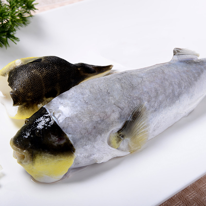 中润中洋河豚鱼食用已处理速冻河豚鱼半成品暗纹东方鲀在类目 水产肉类/新鲜蔬果/熟食, 海鲜/水产品/制品, 其它中 - 来自Buy2taobao.com提供专业的淘宝代购服务