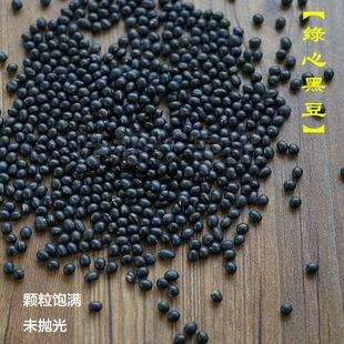 黑豆  绿心黑豆  天然无染色 不抛光  五谷杂粮 500g