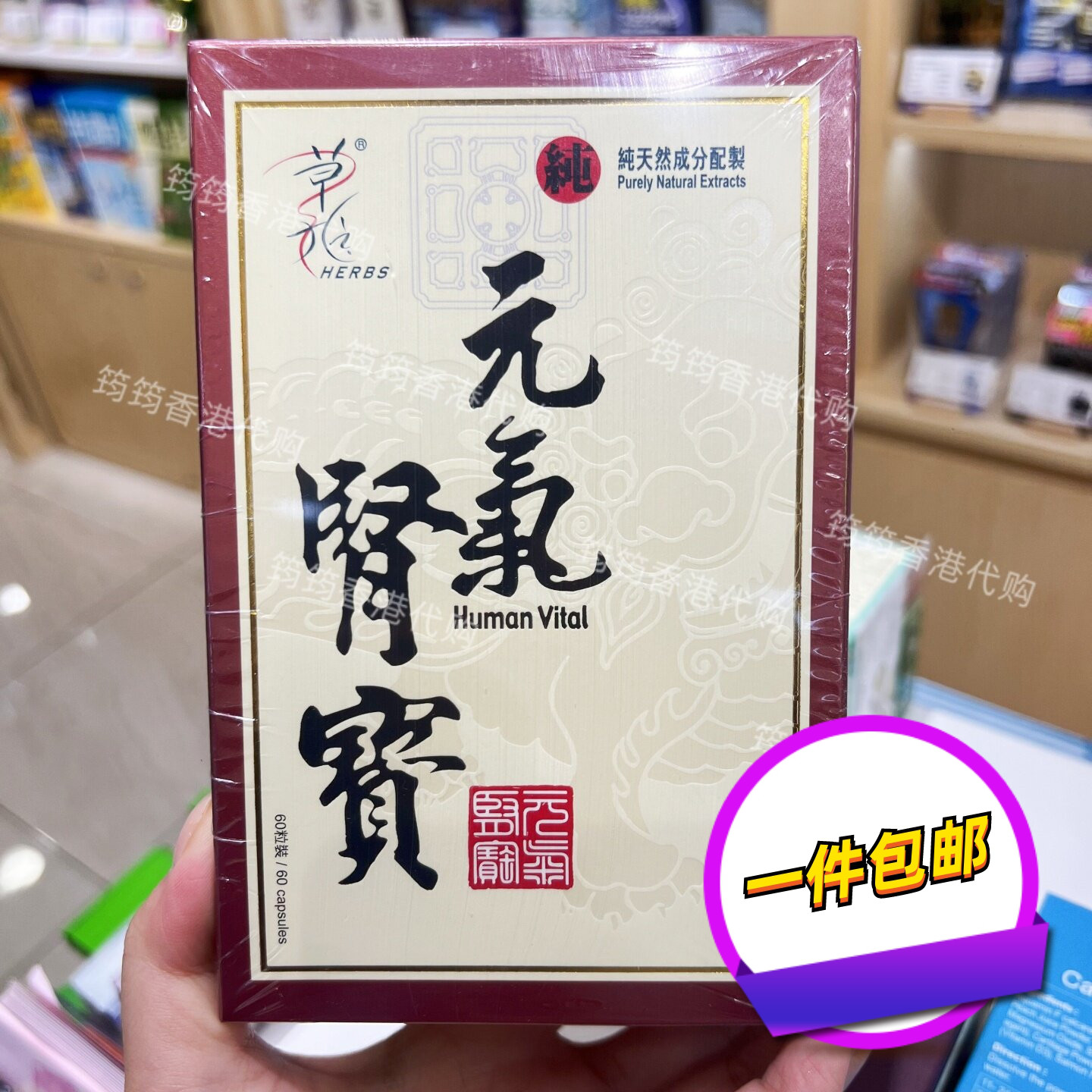 草姬元气肾宝胶囊腰酸腿软掉发