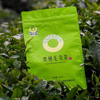 高山绿茶250g贵州明前2026年新茶