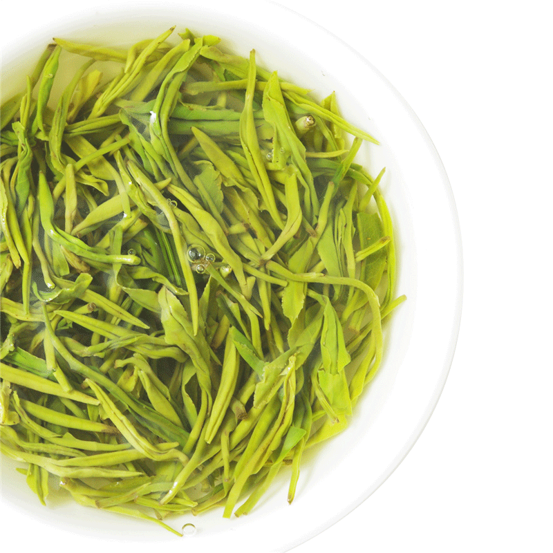 2026新茶都匀毛尖250g明前绿茶