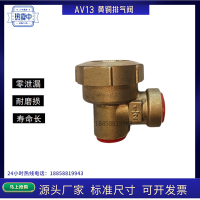 AV13排气疏水阀黄铜内螺纹角式