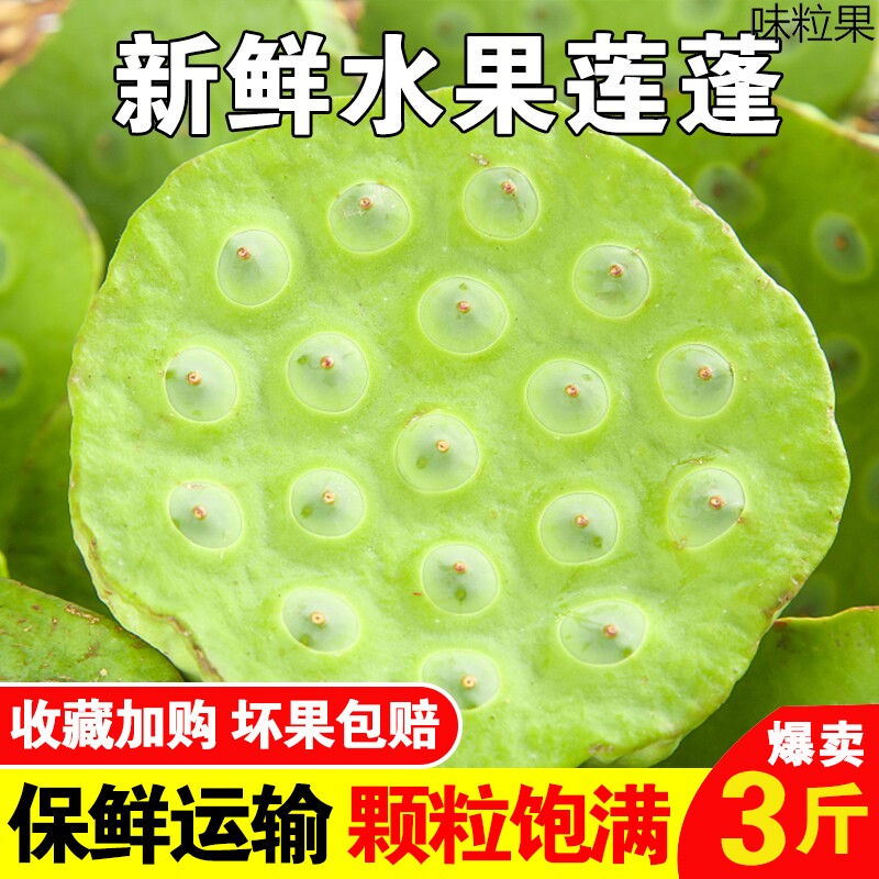 湖北新鲜莲蓬现摘甜嫩水果莲子米