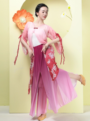 渐变色舞蹈裤套装女仙气飘逸中国古典舞纱衣练功服表演出服装