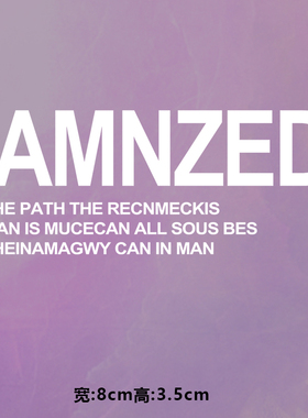 烫画图案新款时尚amnzed胸口图烫画贴印花衣服热转印白墨烫画布贴