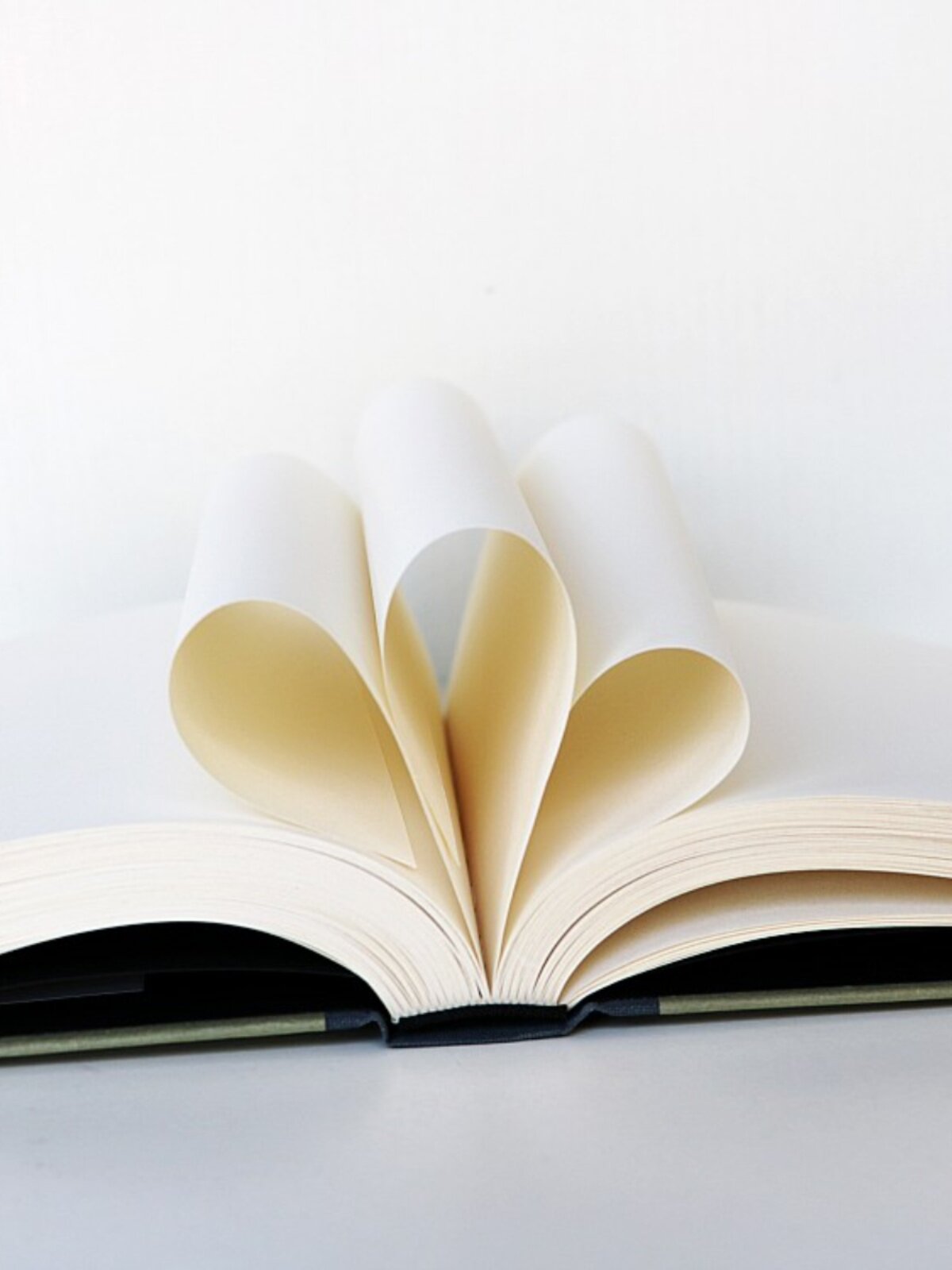 협주곡 협주곡 천 노트 라이트 페이퍼 일기 존 F. 케네디 투레