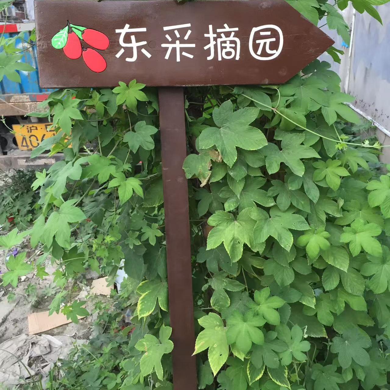 户外防腐木箭头指示牌木牌刻字公园景区广告导向牌立式指路牌定做