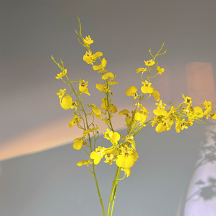 黄色跳舞兰仿真花假花客厅轻奢客厅餐桌花装饰摆件迎春别墅迎客花