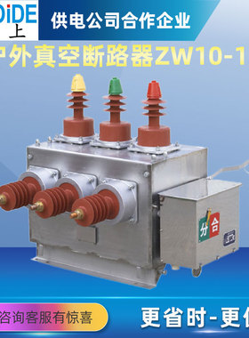 ZW10-12/T630-20 10KV户外高压真空断路器12FGG手动智能开关