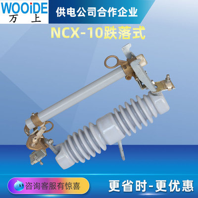 NCX-10/200A户外线路令克保险开关ABB款10kv高压陶瓷跌落式熔断器