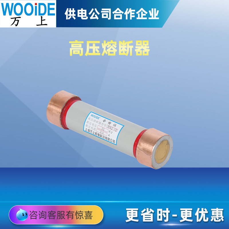RN2-10/0.5-3.15A户内高压限流熔断器RN2-24熔断体RN2-35 10KV