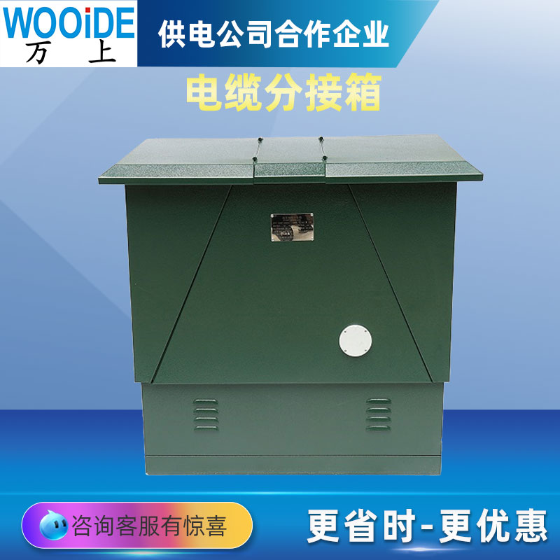 一进二三四五六出 DFW-12/630电缆分支箱 铁壳 不锈钢分接箱10KV