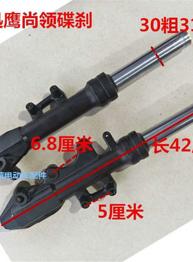 电动车30/31管前减震器避震器舒适油液压减震迅鹰尚领碟刹/鼓刹