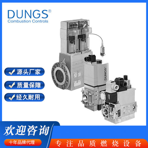 DUNGS冬斯电磁阀 组合电磁阀(组合阀) 铸钢电磁阀  燃气电磁阀
