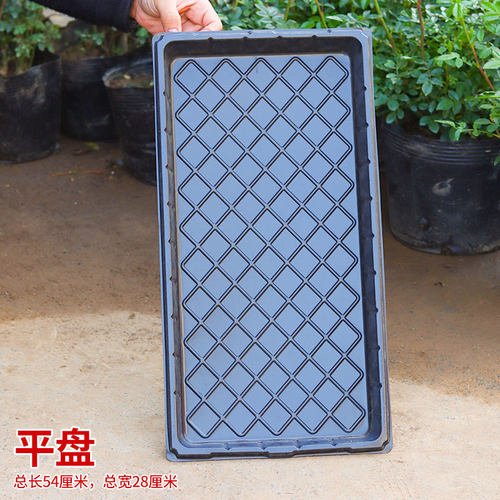 长方形无孔育苗盘托盘芽菜盘