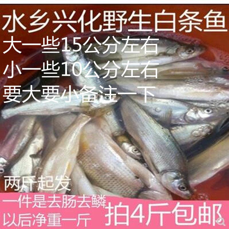 河鱼新鲜小杂鱼淡水白条蓝刀刁柳叶餐条鱼现杀1份1斤4斤包邮