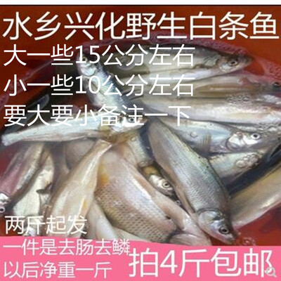 河鱼淡水蓝刀柳叶现杀1份1斤