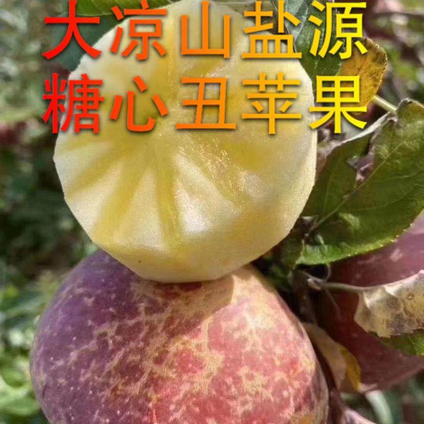 四川盐源苹果10斤丑苹果盐源糖心水果新鲜当季整箱现摘丑苹果,水产肉类/新鲜蔬果/熟食,苹果,淘宝优惠券,粉丝福利购,淘宝优惠卷