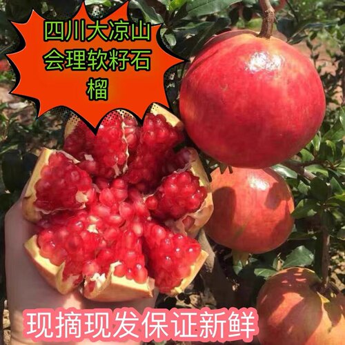 突尼斯软籽石榴8斤装水果新鲜包邮四川会理无籽礼盒甜红当季整箱