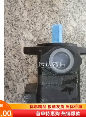 高压叶片泵 油泵 V10-1P3R SV101P液压站液压机
